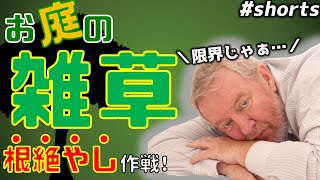 もう限界！お庭の雑草を根絶やしにする対策９選【#shorts】