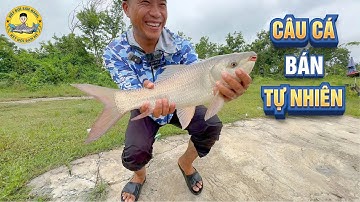Câu Cá ở Hồ Bán Tự Nhiên 30 Năm Không Thể Hút Cạn: Đầy Ẩn Số ??