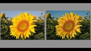 Darktable Episode 63: Use of masking options in the color balance rgb module screenshot 2