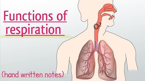 Functions of respiration l Urdu lecture l learn with aroosa waheed