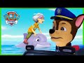 Rescue Knights Pups stop a magical sleepy spell and more episodes! - PAW Patrol - Cartoons for Kids