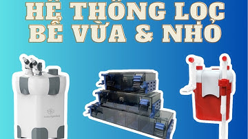 Top những hệ thống lọc hiệu quả cho bể cá cảnh, bể thuỷ sinh cỡ nhỏ và vừa