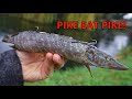 Using a PIKE to Catch a Bigger PIKE!