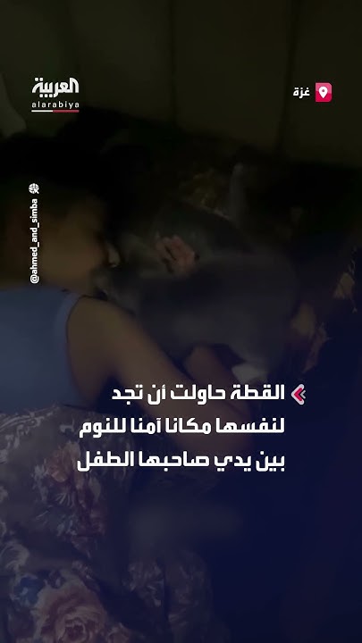     --..        
 - نشر قبل 13 دقيقة