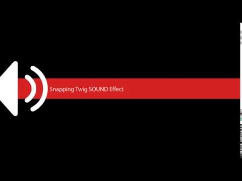 Snapping Twig SOUND Effect