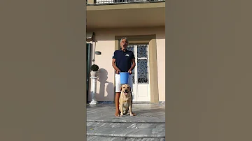 Andrea Bocelli ALS Ice Bucket Challenge 