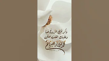 المولد النبوي الشريف 1447 2025 