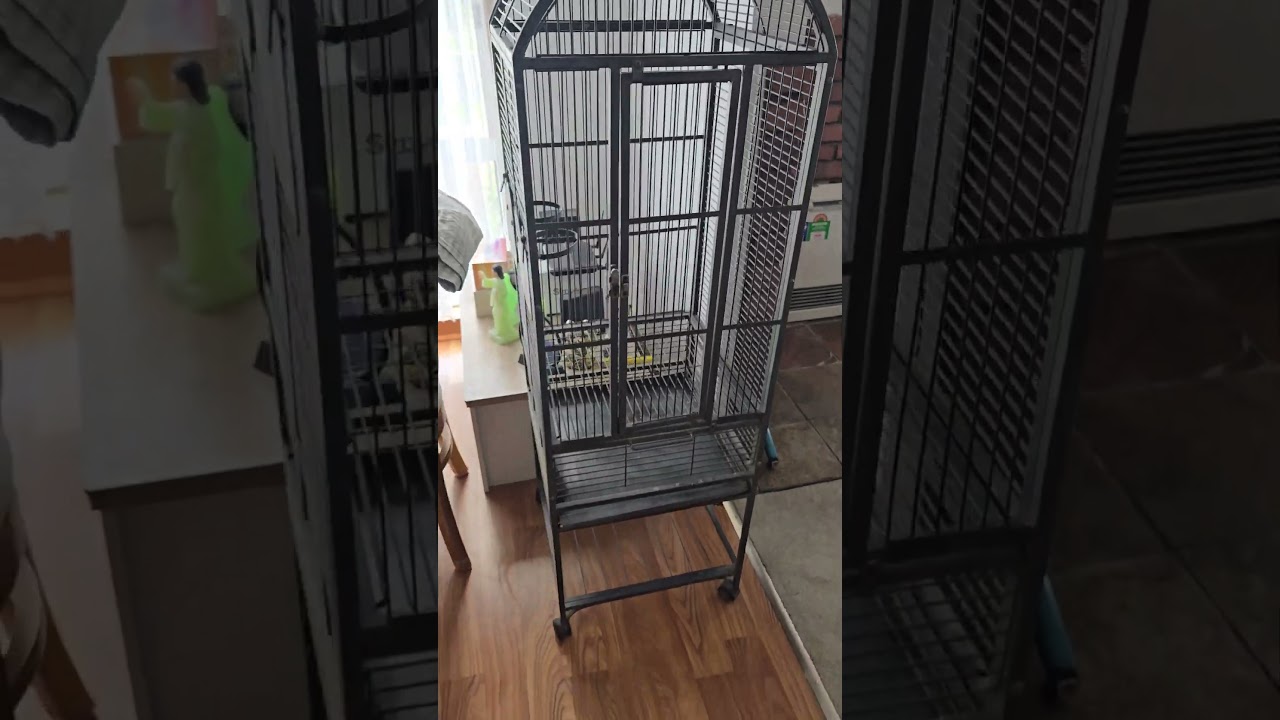 Cockatiel bird cage. Male & Female I can't wait to pick it up 😀