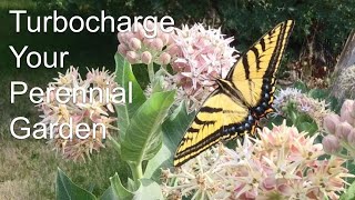 10 Native North American Perennials for Year-Round Pollinator Support by Casual Gardening with Dustin 180 views 6 months ago 17 minutes