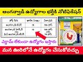 Anganwadi recruitment 2024-2025 || Anganwadi Teacher recruitment || Anganwadi Helper recruitment