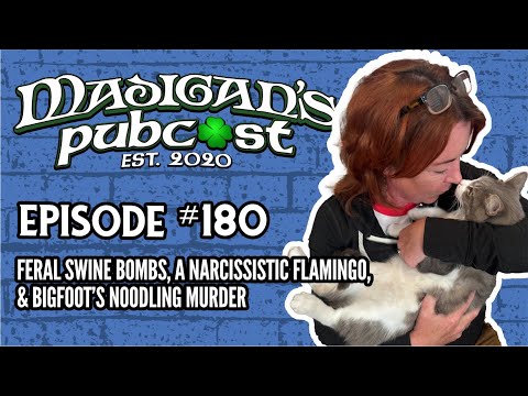 Madigan's Pubcast Episode 180:Feral Swine Bombs, A Narcissistic Flamingo & Bigfoot’s Noodling Murder