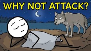 Invisible "Agreement" Between Humans and Apex Predators