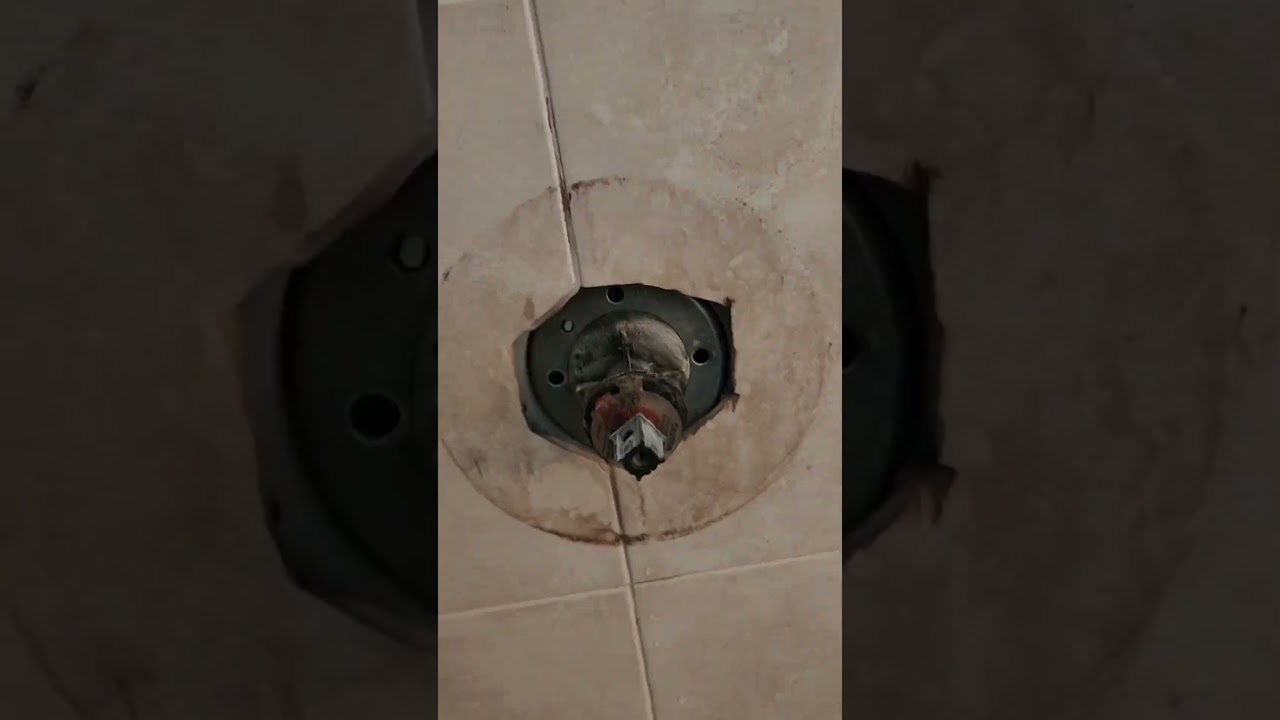 kohler shower cartridge 