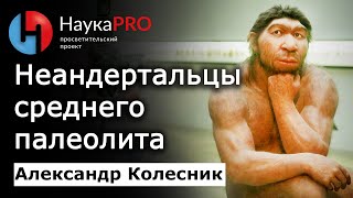 Неандертальцы среднего палеолита - Александр Колесник | Лекции по археологии | Научпоп