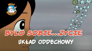 Bylo Sobie... Zycie  Układ oddechowy