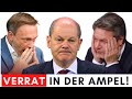 Total irre regierung scheitert mit abwahl von afdstadtrat