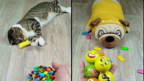 Satisfying Reverse Video ASMR 💥 Marble Run and More