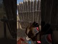 ЖЕСТОКО ЗАФАЙТИЛИ КИТАЙЦЕВ в Раст/Rust #rustclips #rust #rustshorts #rustpvp #раст  #rustgame