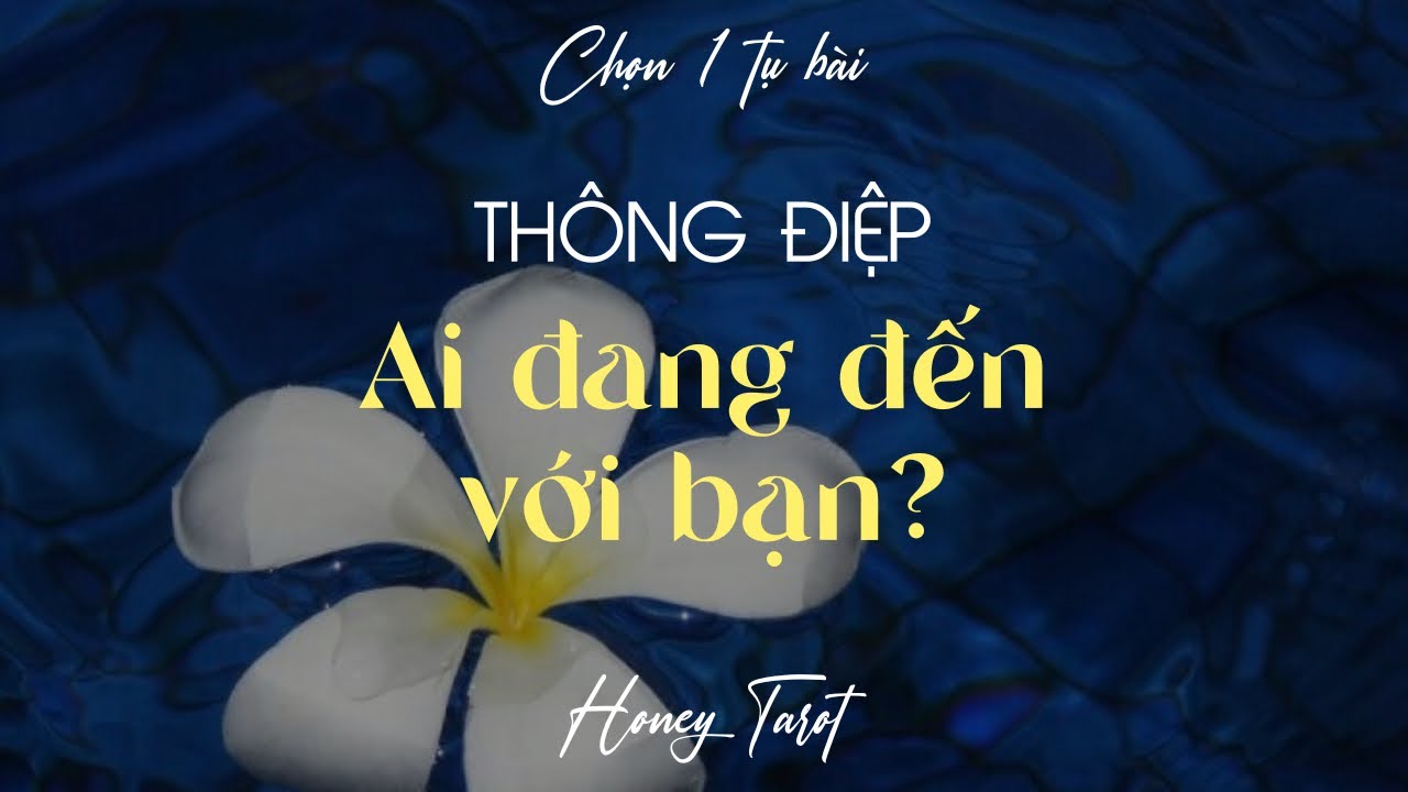 🔮Ai đang đến với bạn?🪬🌠💒(chọn 1 tụ bài)🩵| Honey Tarot