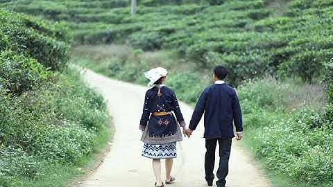 làn điệu páo dung Dao tiền