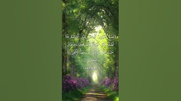 ونضع الموازين القسط ليوم القيامة#سورة_الانبياء/ بصوت أبي العباس/حالات واتس اب قران/ تلاوة خاشعة