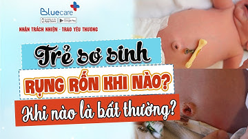 Rụng rốn ở trẻ sơ sinh xảy ra khi nào? Dấu hiệu bất thường cần cảnh giác | BLUECARE