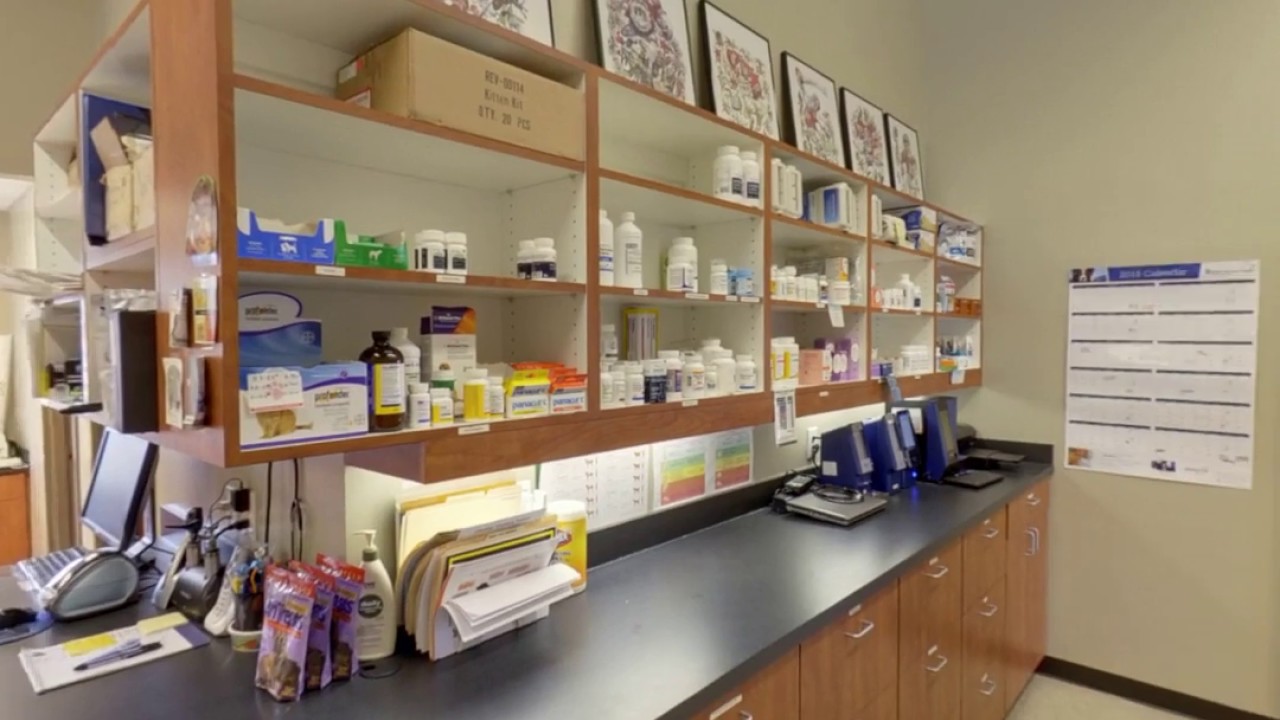 North Oconee Animal Hospital Bogart, GA Veterinarians YouTube