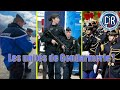 Tout savoir sur la gendarmerie 