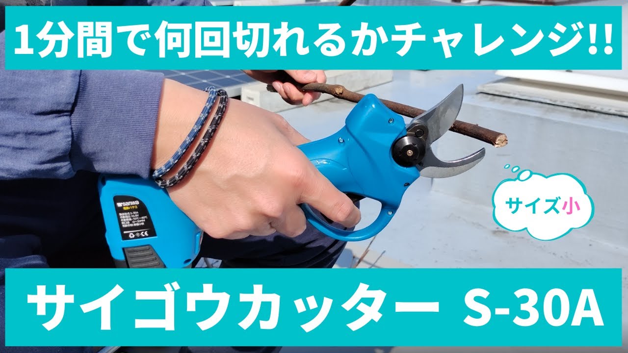 電動剪定ばさみ サイゴウカッターS-30A プロ仕様 コードレス はさみ ハサミ