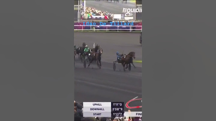 Idao De Tillard win Prix d’Amerique #horseracing #paris #champion #legend #winner #trot