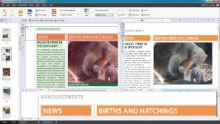 How to recognize text in pdf - ABBYY FineReader