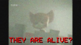 Nara Dreamland Japan - Security Camera Footage 3