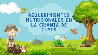 Requerimientos Nutricionales en la Crianza de cuyes #cuyes #cuy #cuys #cuyo #cuyos #guineapigs #cavi