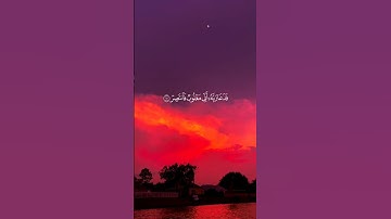 القارئ : ياسر الدوسرى ﴿ فَدَعَا رَبَّهُ أَنِّي مَغْلُوبٌ فَانتَصِرْ﴾[ سورة القمر: 10]