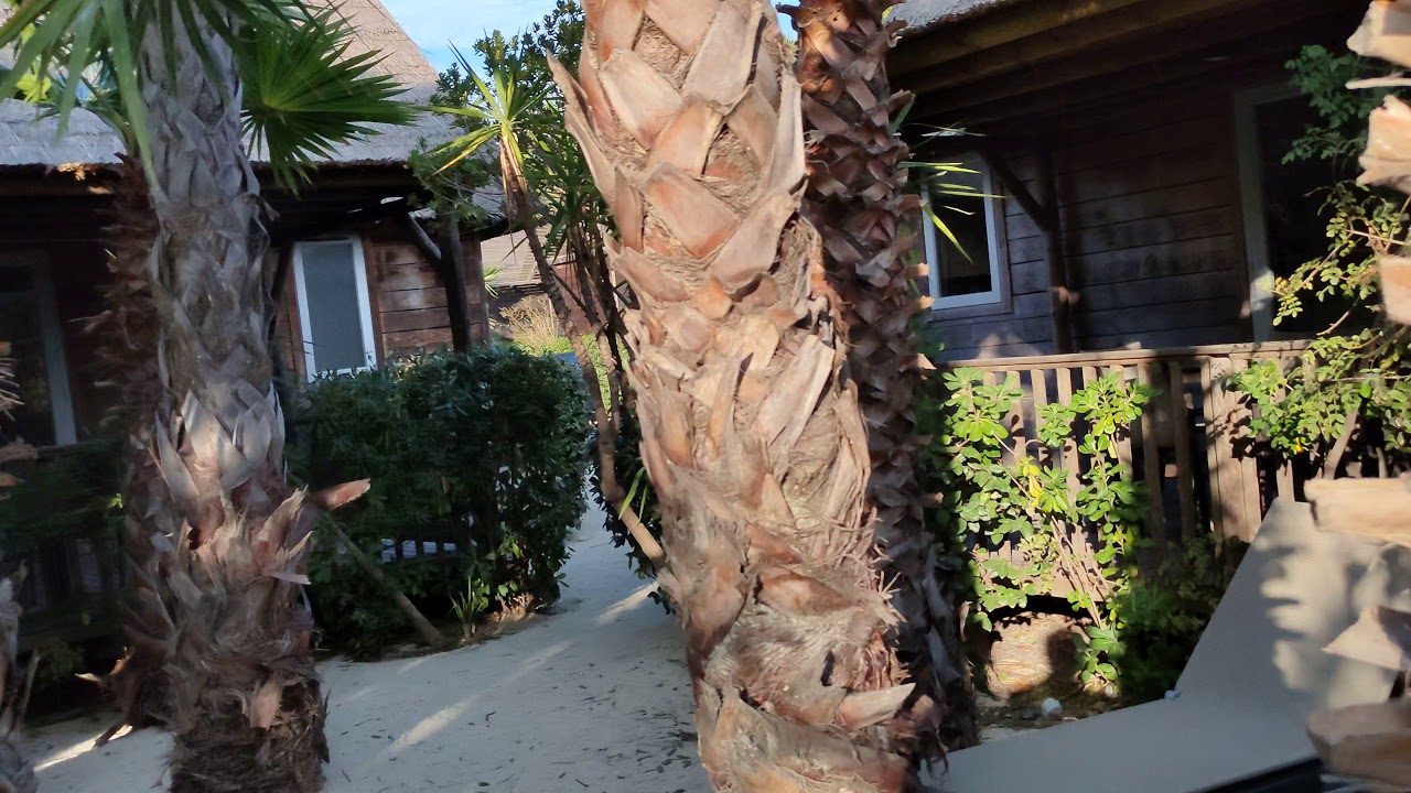 Schlendern auf dem Luxus Camping Platz Camping Les Prairies de la Mer bei Port Grimaud, 4k, 60 fps