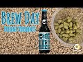 How to Homebrew BrewDog Punk IPA Post 2010 Version in the Kitchen on your Stovetop | Brew Day
