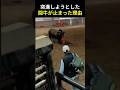 数年ぶりの再会。闘牛は覚えていた #闘牛 #牛 #再会 #感動実話