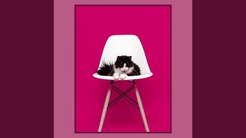 Pulsating Backdrops for Nocturnal Cats