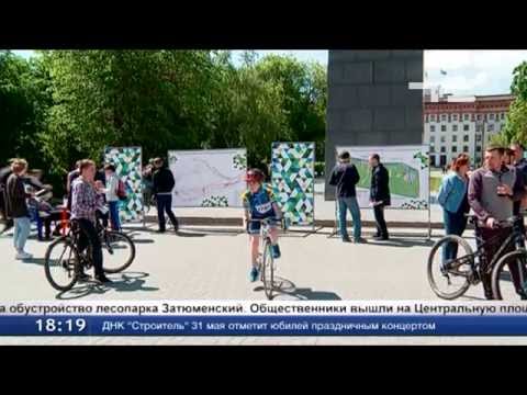 1 208 человек проголосовали за обустройство лесопарка «Затюменский»