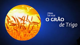 O GRÃO DE TRIGO | Pr. Rafael Tomazini