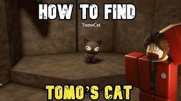 How to Find Tomo’s Cat in The Forge  Full Quest Guide