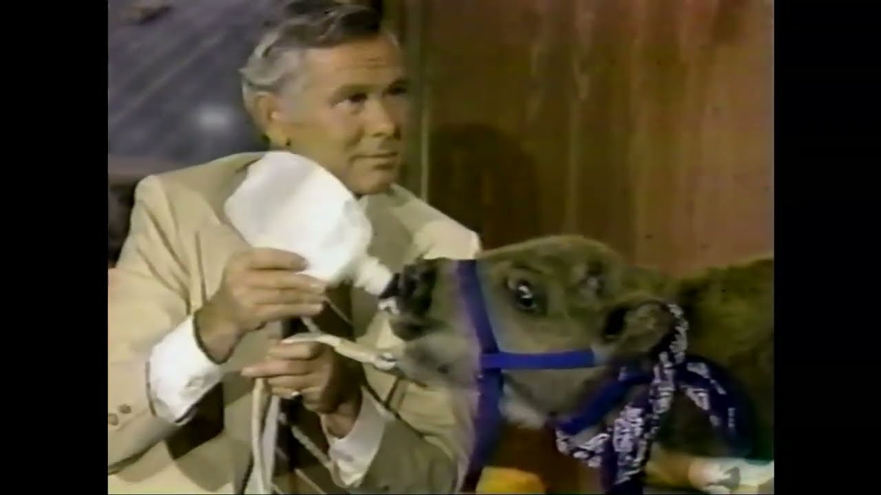 Johnny Carson: Joan Embery bison & bush dog