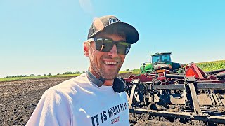 Summer Tillage And I Managed To Plug Everything With Mud