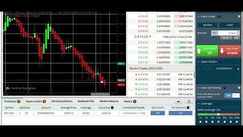 How to Leverage Trade- BitSeven Directional Leverage Trading Pt  1- Beginners Sessions