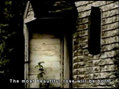 Skinnerhate - About 7 Children