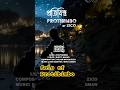 Solo of Protibimbo