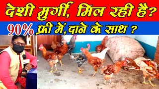 #deshimurgipalan #poultryfarm । देशी मुर्गी मिल रही है 90% फ्री में?। Deshi murgi 90% free men?