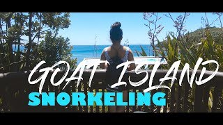 GOAT ISLAND SNORKELING|| 2018