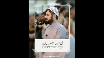 الشيخ رعد الكردي | سورة النبأ | تلاوة رائعة بالطور العراقي الجميل