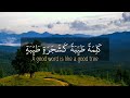 ألم تر كيف ضرب الله مثلا كلمة طيبة كشجرة طيبة ياسر الدوسري mp3
